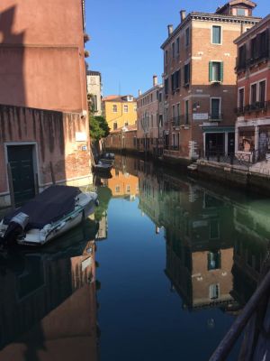 A Positive Side to the Virus Disaster in Venice?